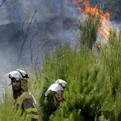 Verzweifelter Kampf gegen die Flammen