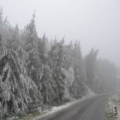 Waidhofen an der Thaya, NÖ