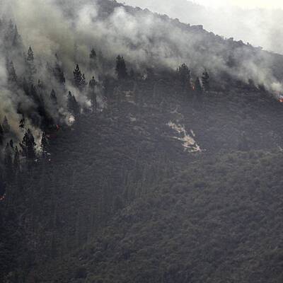 Verzweifelter Kampf gegen die Flammen
