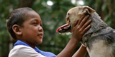 Hund lebt seit einem Jahr ohne Schnauze