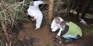 k&auml;rtner erstochen