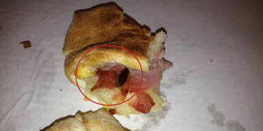 Kakerlaken-Skandal bei Wiener Pizza-Service