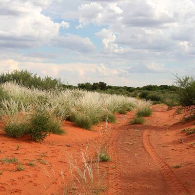 Cape Cod, Massachusetts/USA