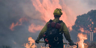 Fortschritte bei Waldbränden