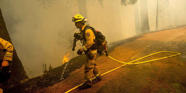 Waldbrand Kalifornien