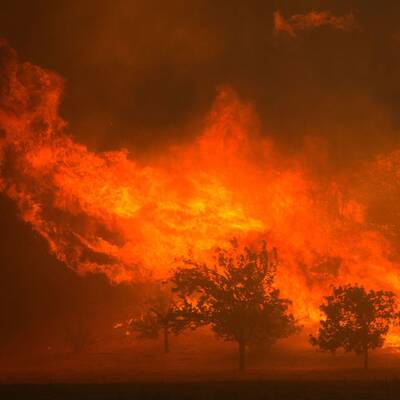 Tödliche Waldbrände in Kalifornien
