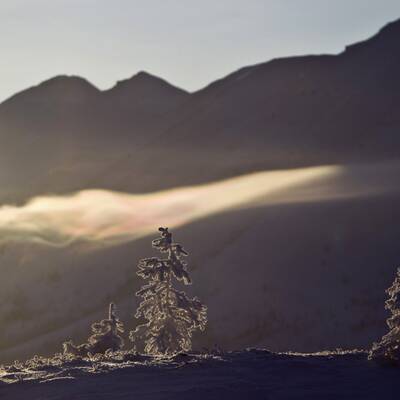 Das ist der kälteste Ort der Welt