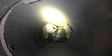 Liebestolle Frau blieb in Kamin stecken