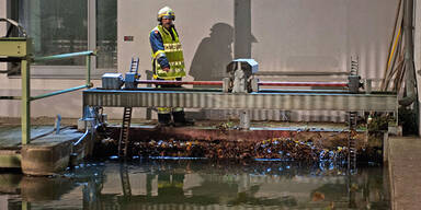 Pensionistin (85) fällt in Werkskanal: tot