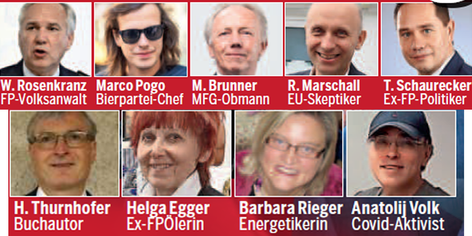 23 Kandidaten kämpfen um die Hofburg