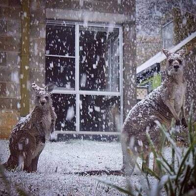 Trübes Wetter in Melbourne