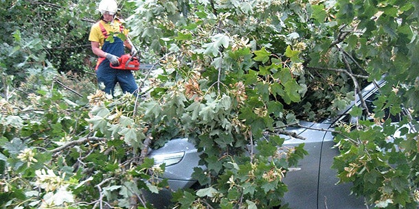 Sturmschäden in NÖ, Steiermark, Burgenland