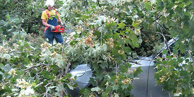 Sturmschäden in NÖ, Steiermark, Burgenland