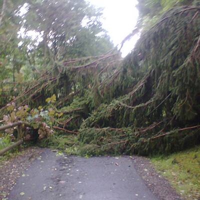 Schwere Gewitter über Österreich 