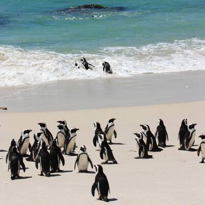 Der größte Pool der Welt