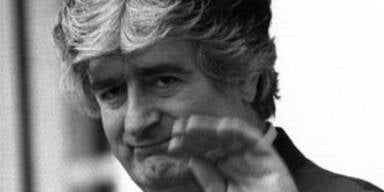 karadzic_ap_neu
