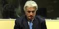 karadzic_epa