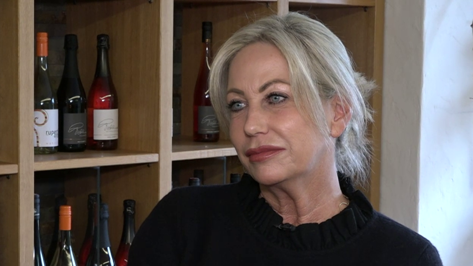 U-Ausschuss: Pilnacek-Freundin gerät ins Visier Kép