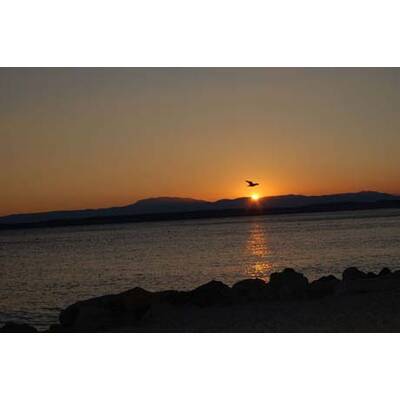 Die neuesten Urlaubsfotos