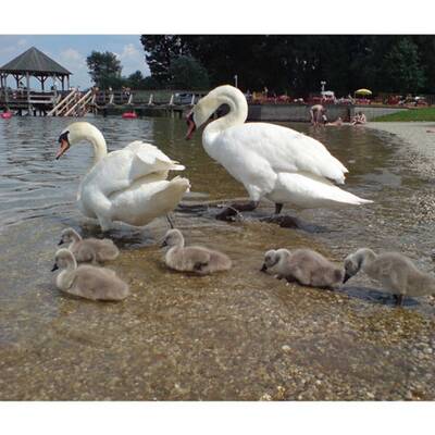 Die schönsten Strandfotos