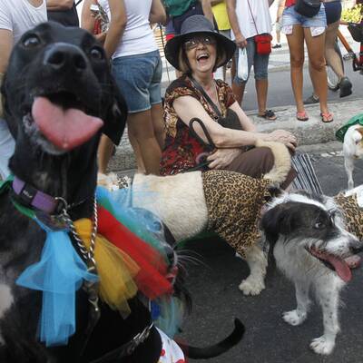 Verkleidete Hunde in Rio