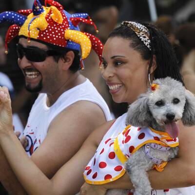 Verkleidete Hunde in Rio
