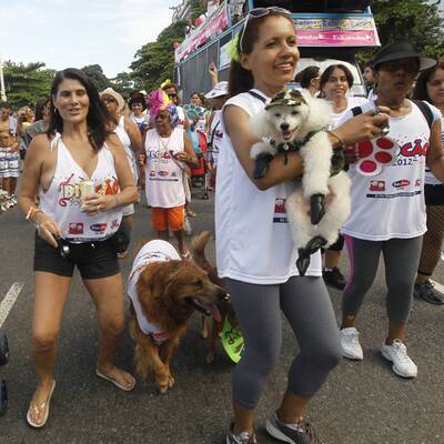 Verkleidete Hunde in Rio