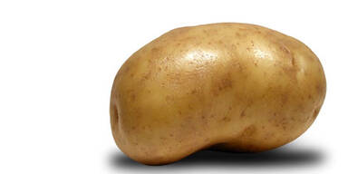 kartoffel_sxc