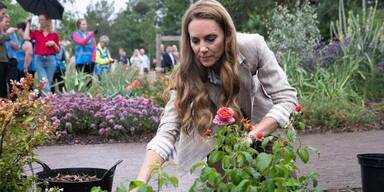 Prinzessin Kate pflanzt Rosen