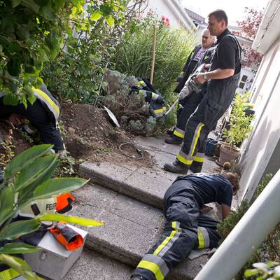 Baby-Katze aus Abflussrohr gerettet