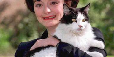 katze-uk