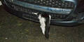 Katze Stoßstange