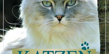 Homöopathie für kranke Katzen