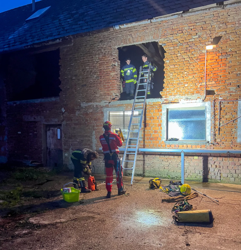 katzenrettung Hackschnitzel