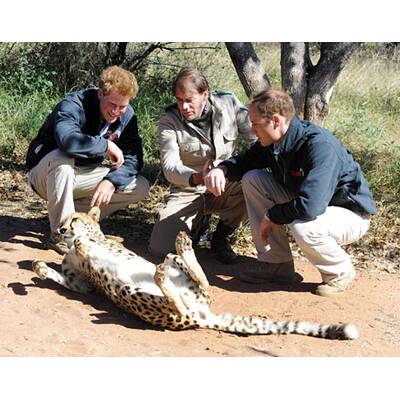 Vuvuzela & Raubtiere: William & Harry in Afrika