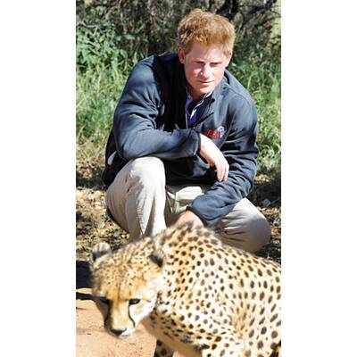 Vuvuzela & Raubtiere: William & Harry in Afrika