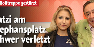 Katzi auf Rolltreppe verunglückt