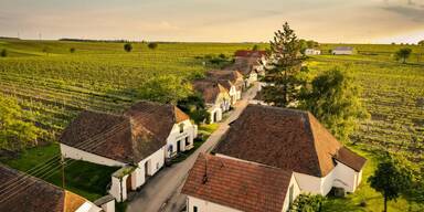 Wein, Sonne & Fr&uuml;hling: Das Weinviertel ruft &ndash; dieses Wochenende!