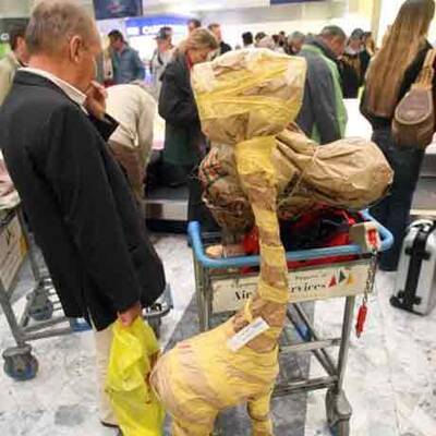 Österreicher kehren aus Kenia zurück