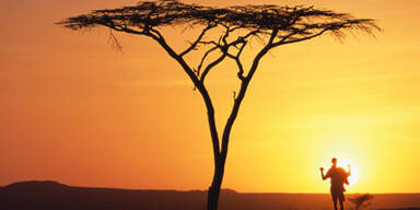 Safari-Abenteuer in Afrika