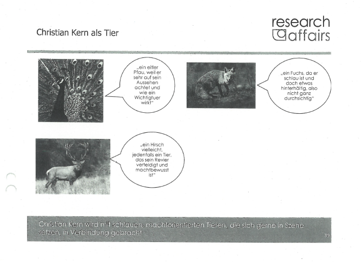 155.000-Euro-Studie: Kurz ist Pfau