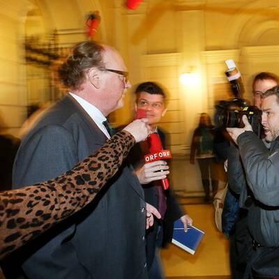 Mensdorff muss sein Firmengeflecht erklären.