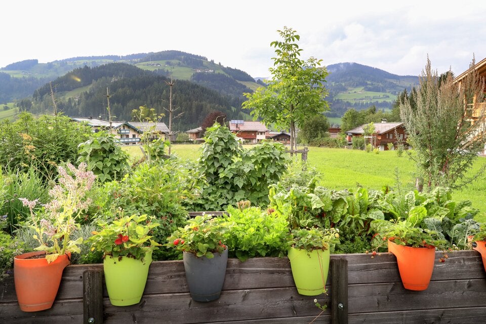 Gärtnern auf Augenhöhe