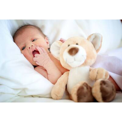 Das kleine große Glück 