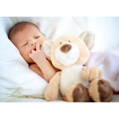 Das kleine große Glück 