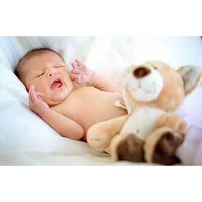 Das kleine große Glück 