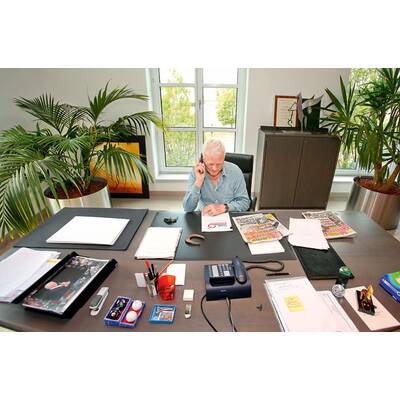 Interview mit Frank Stronach