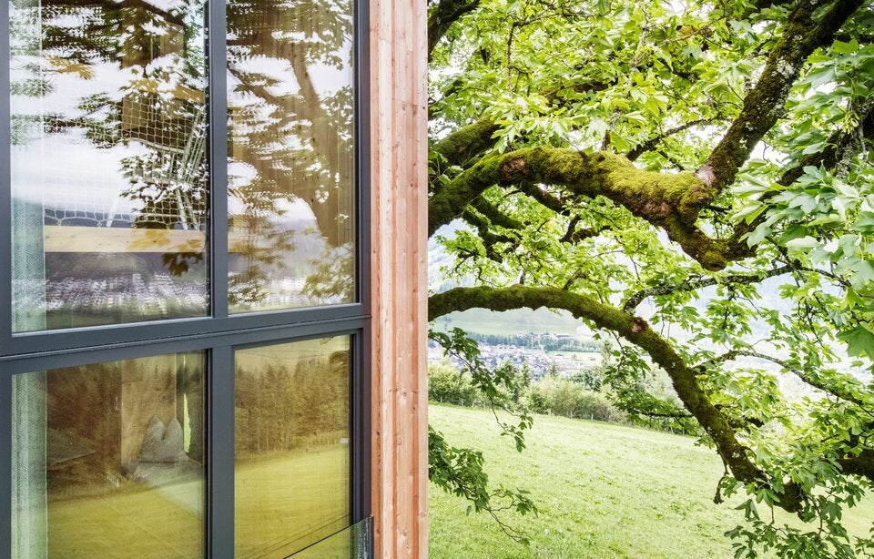 Wohnen in den Wipfeln: Modern trifft auf alpin.