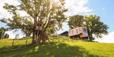 Ein Baumhaus als Traumhaus