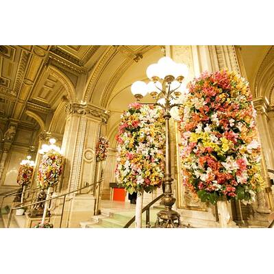 So schön wird die Opernball-Eröffnung